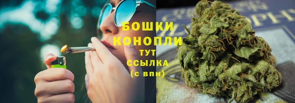стаф Заводоуковск