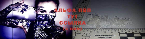 стаф Заводоуковск