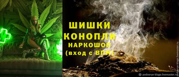 стаф Заводоуковск