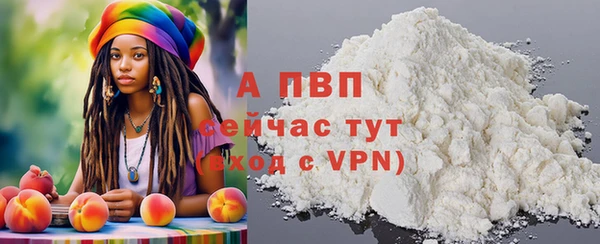 стаф Заводоуковск